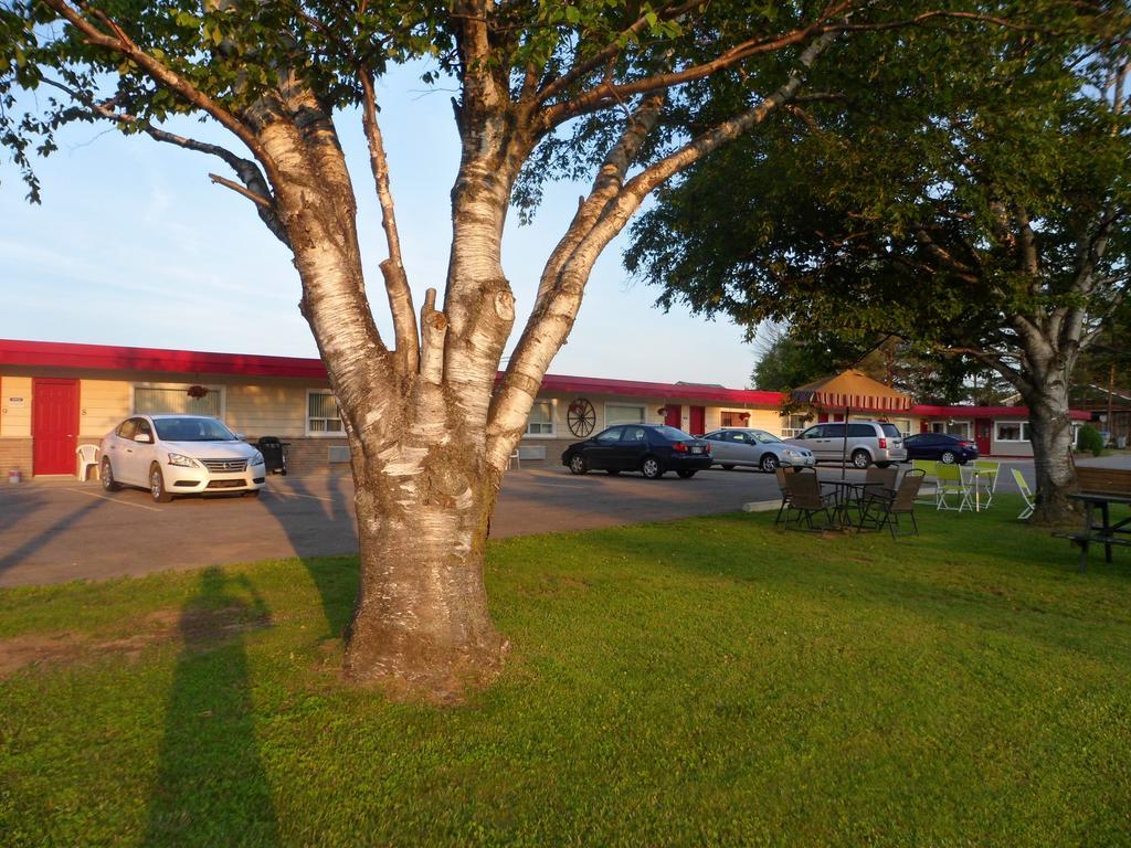 The Silver Birch Motel ゴドリッチ エクステリア 写真