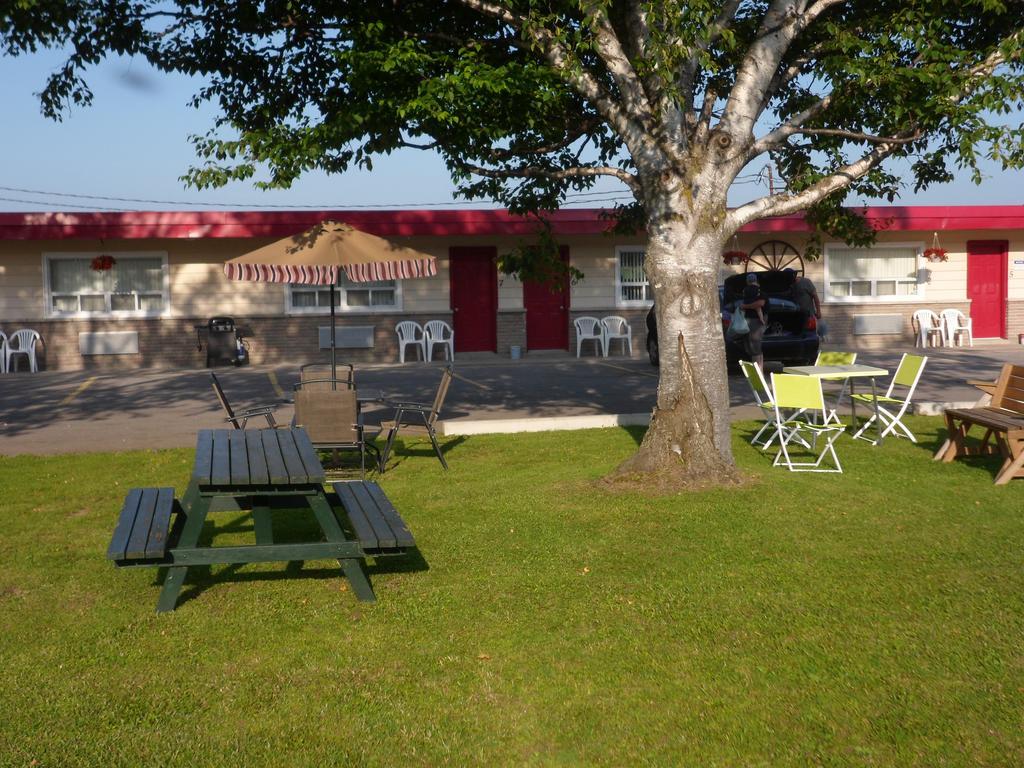 The Silver Birch Motel ゴドリッチ エクステリア 写真